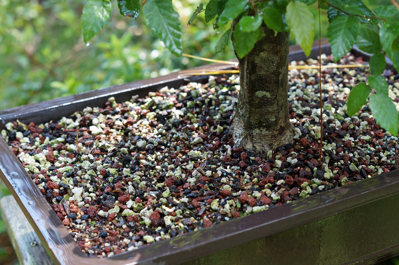 Soil Before Old Nozzle