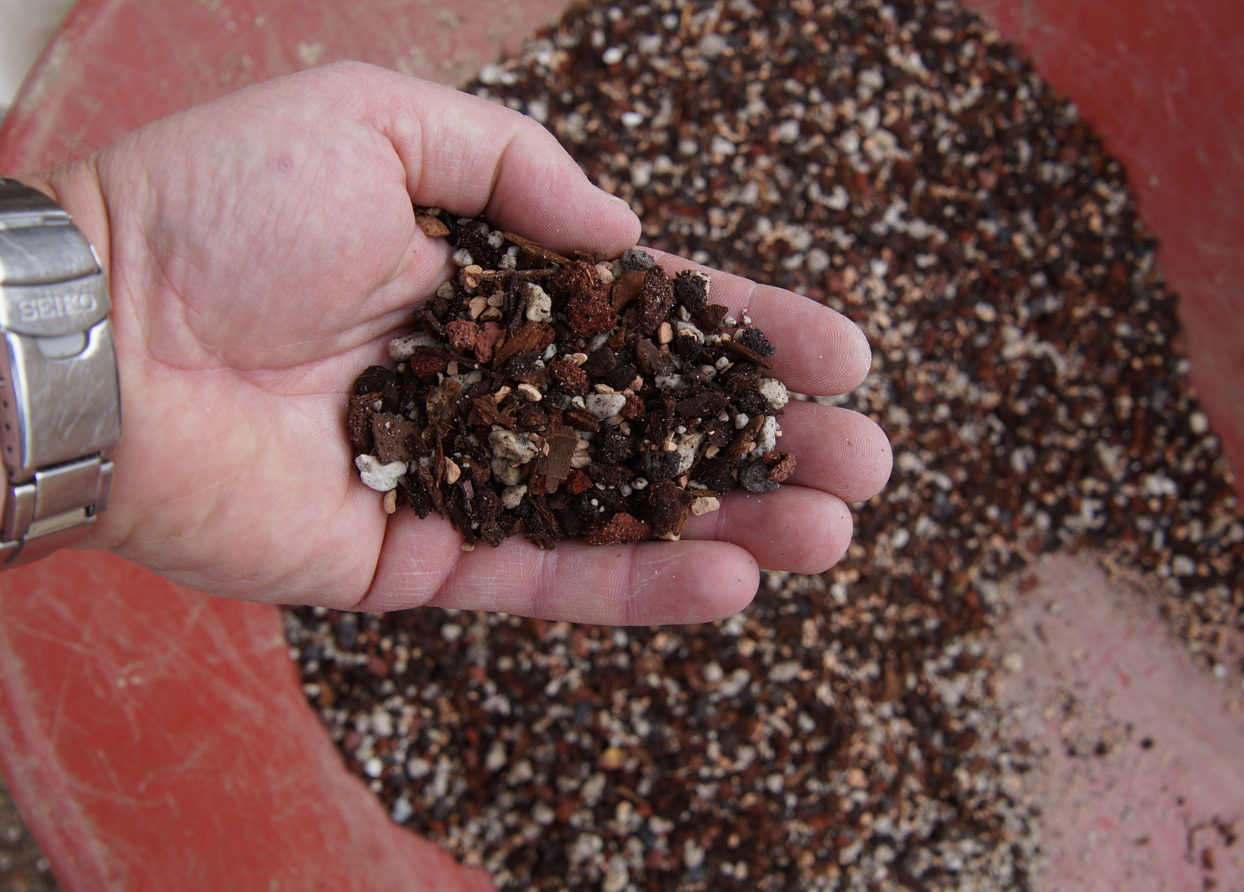 BONSAI SOIL, HEART OF DIXIE STYLE