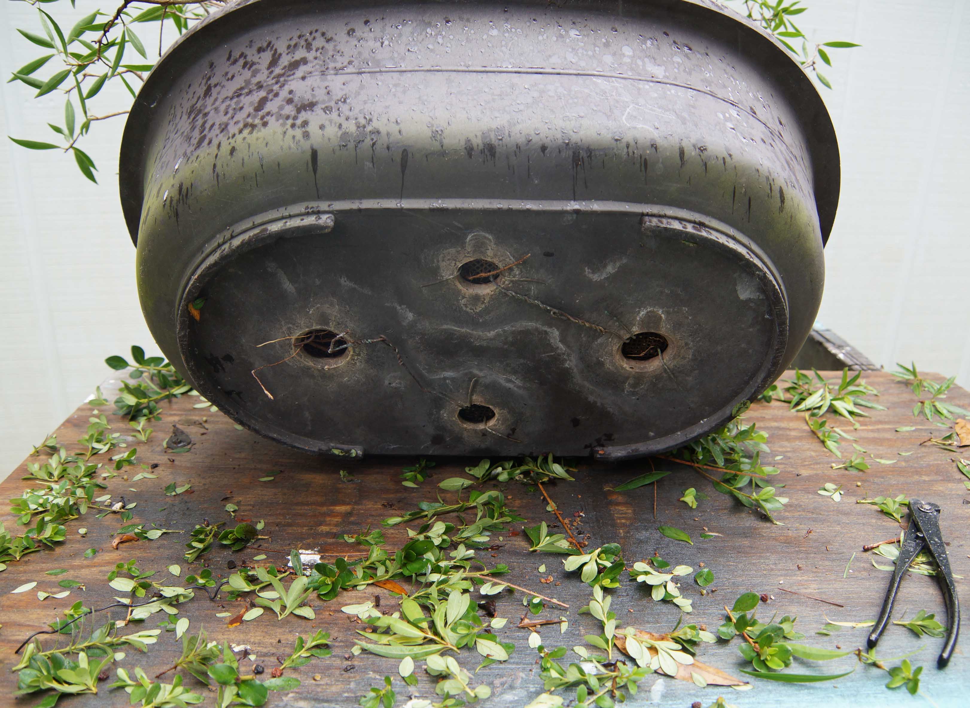 Snipping the Retaining Wires