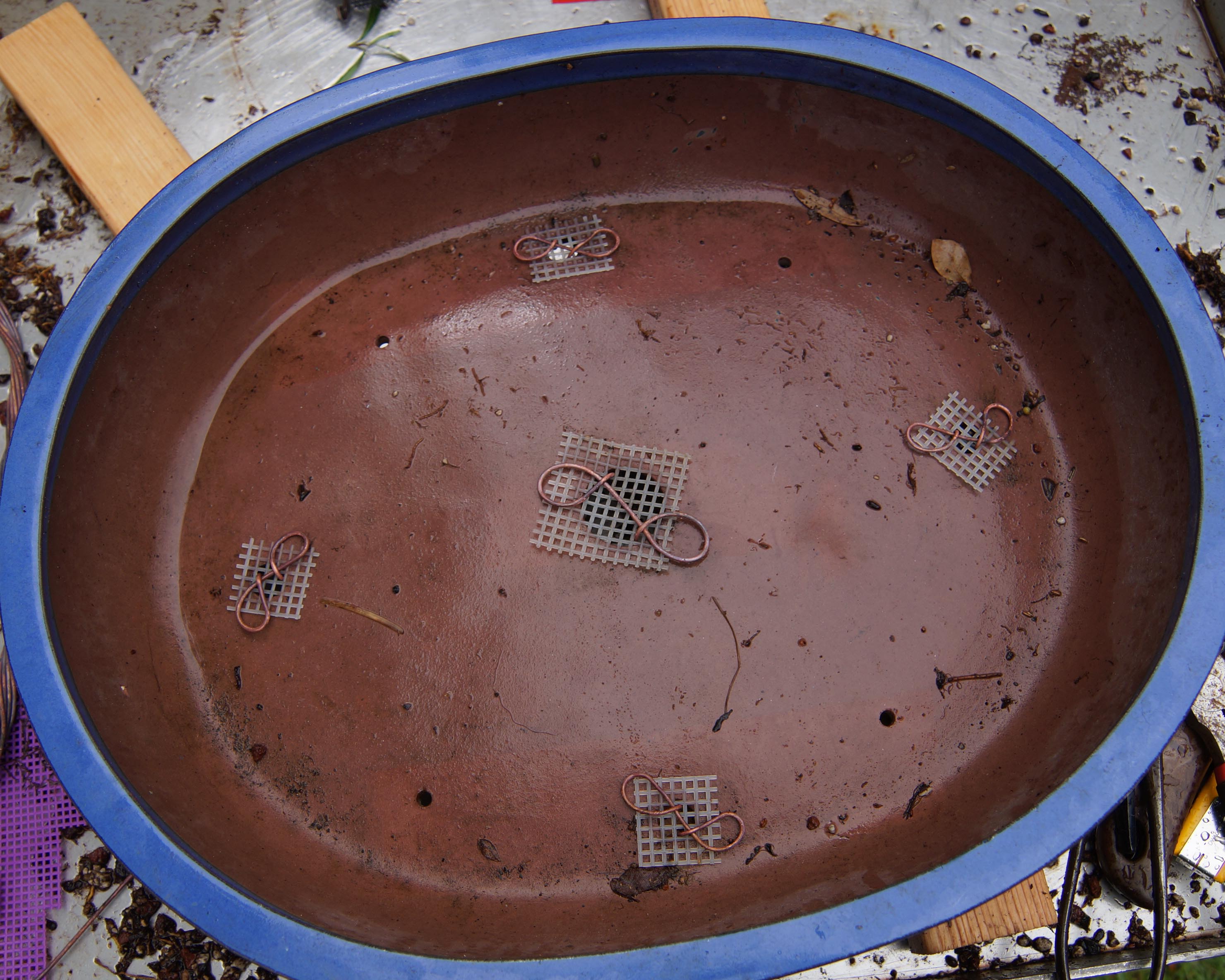 Wingadings and Screens in Place