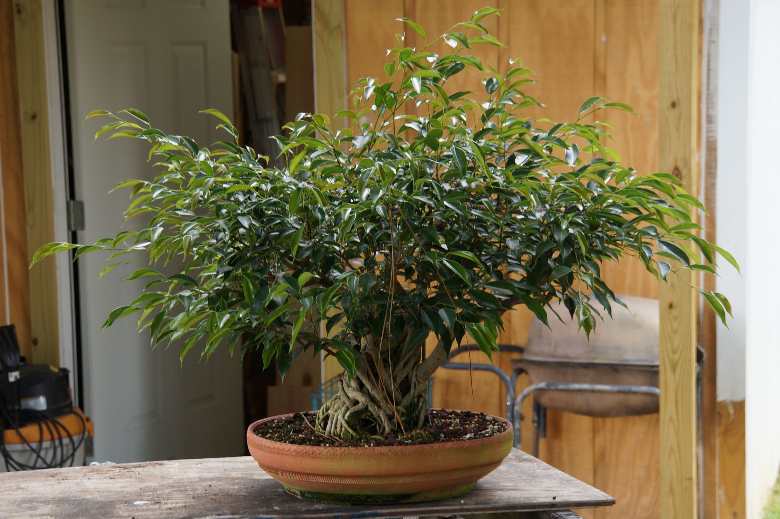 July 2016, Before Work