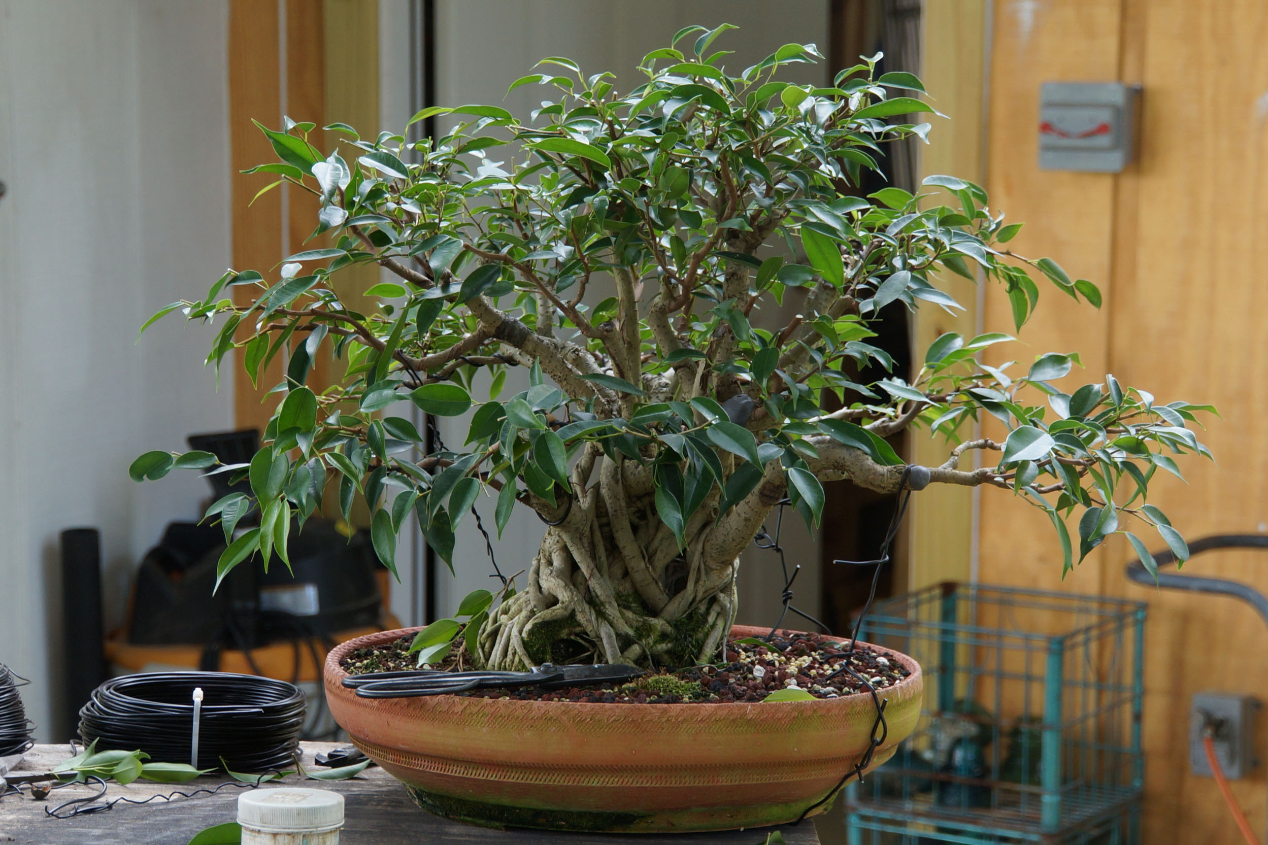 July 2017, After Work