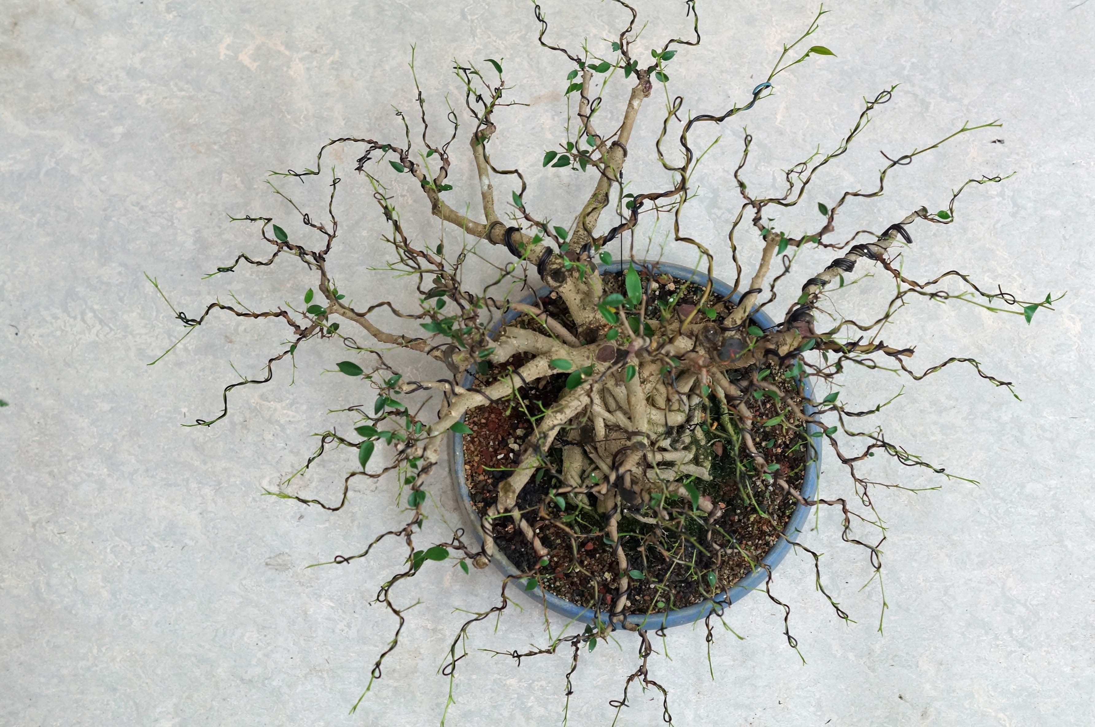 Top View of Wire Out