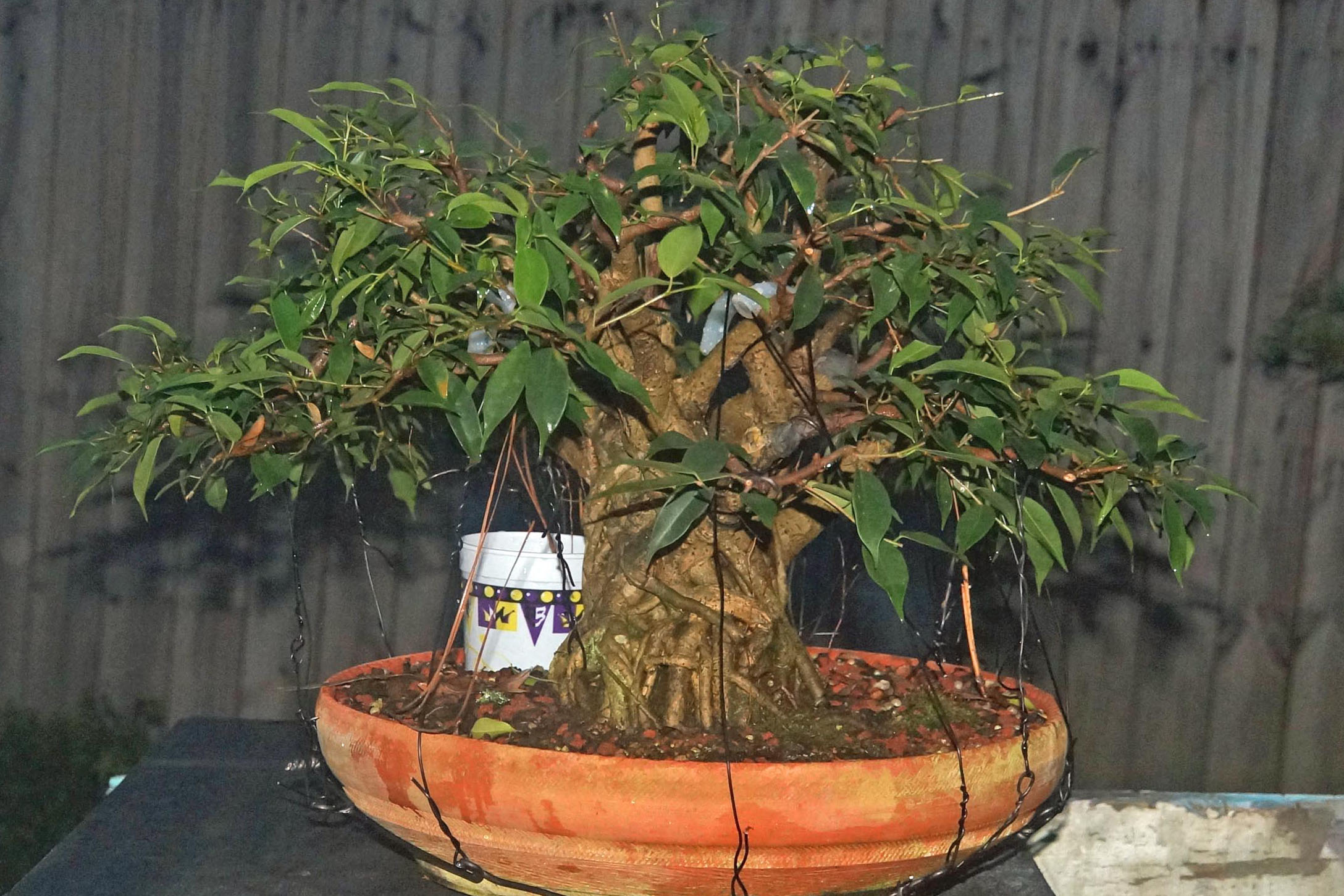 September 2016. Tethers Galore