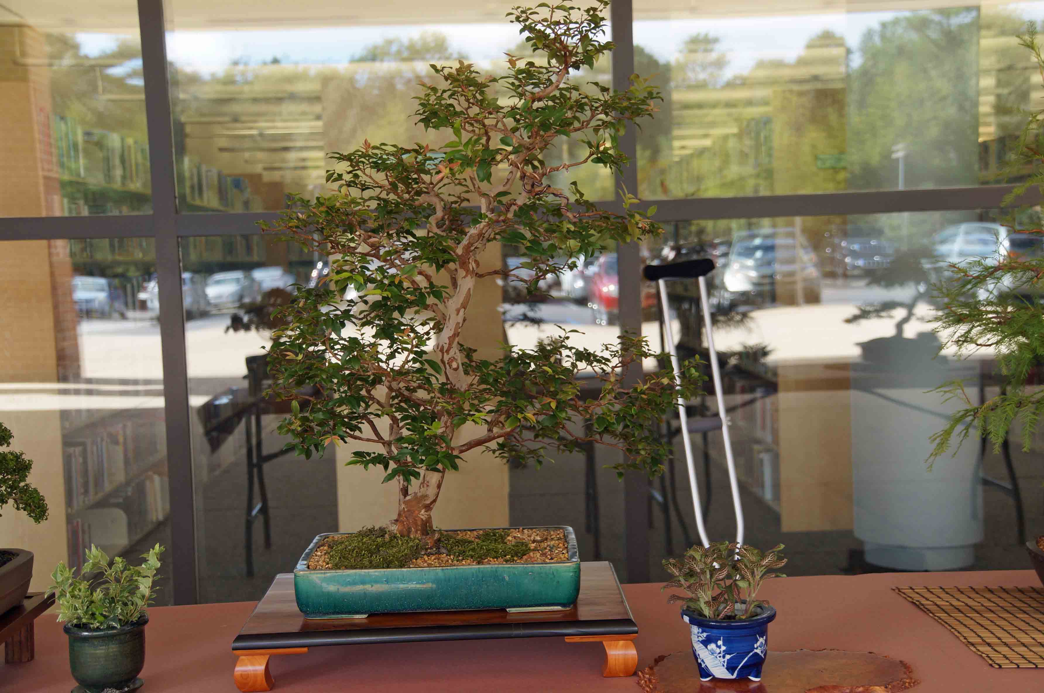 Johabacata - Joe Day