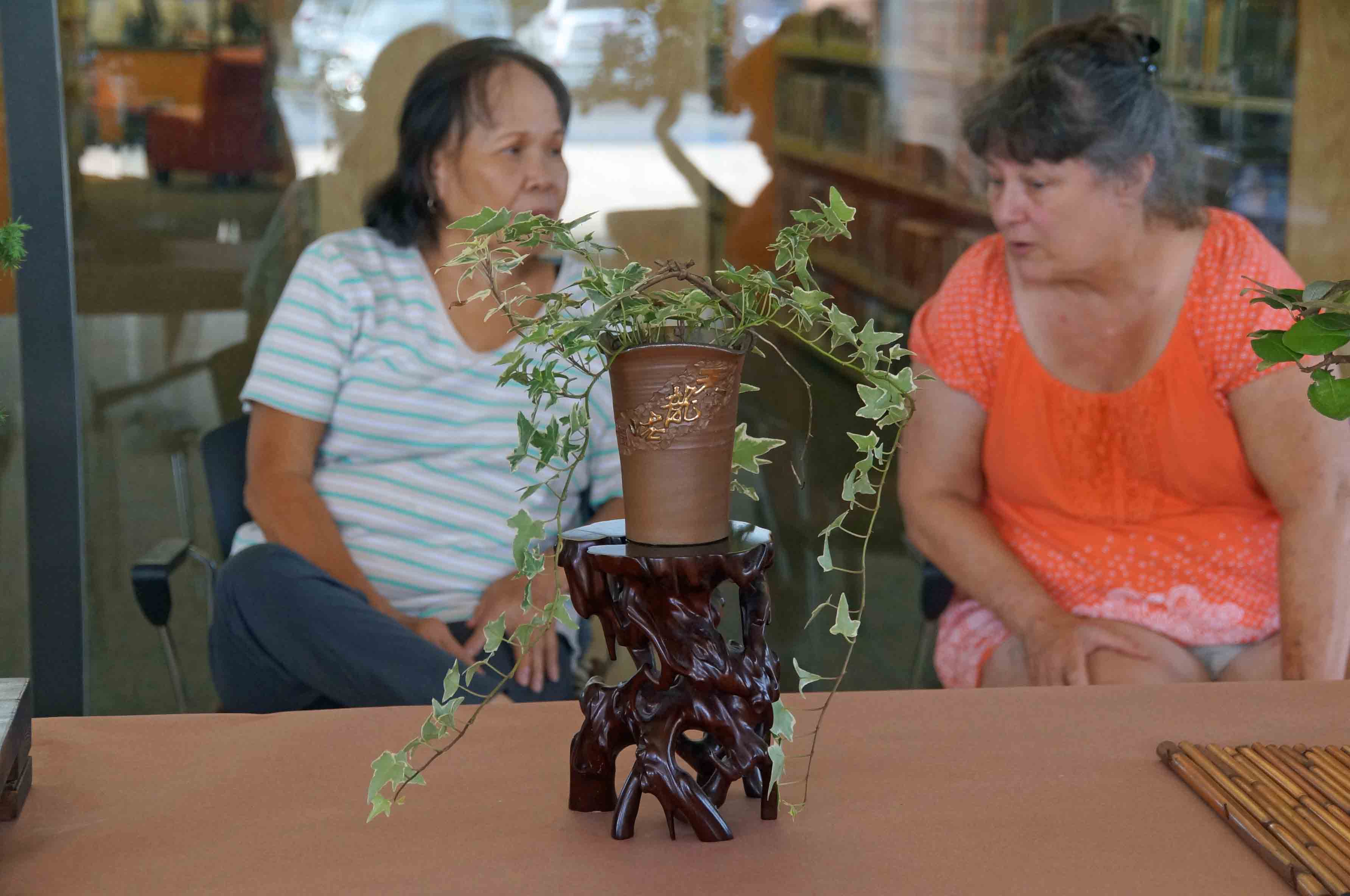 Variegated Ivy - Joe Day